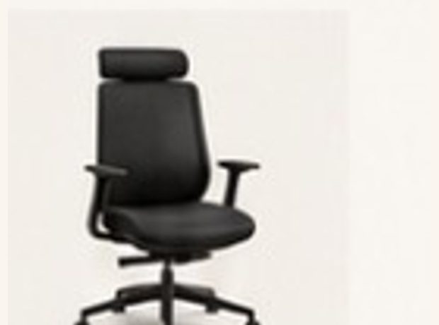 Ergo Office Chair